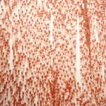 Tendency to persist, detail | red iron oxide, clay & acrylic medium on paper | 55in x 10 yards