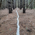 Intervention (Watershed) | site specific installation | unfired clay in abandoned tree farm